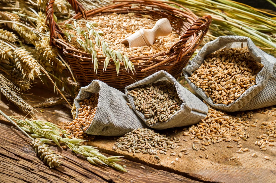 I Cereali nell’alimentazione